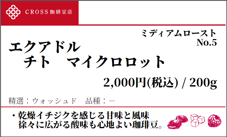 店頭_ストレート_エクアドル_チト