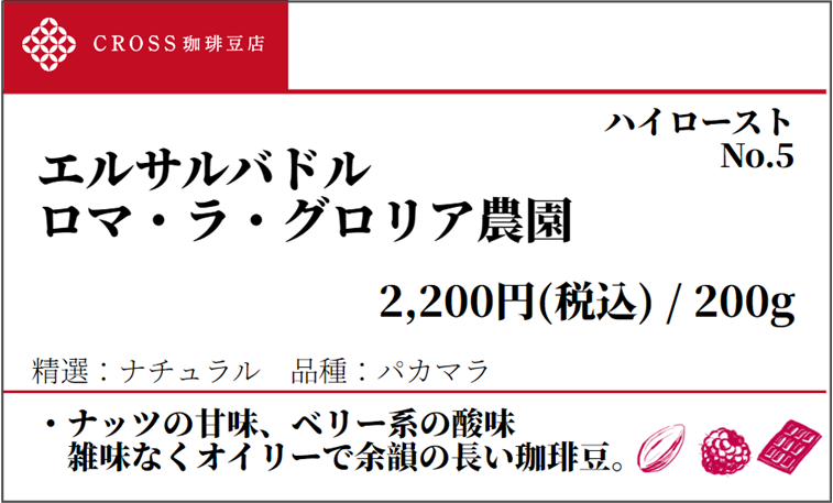 店頭_ストレート_エルサルバドル_グロリア農園_ナチュラル